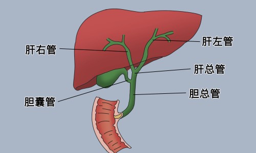 权威中药肚脐贴多少钱一盒平台,分享专业中药肚脐贴怎么用知识_中药肚脐贴真假区别网